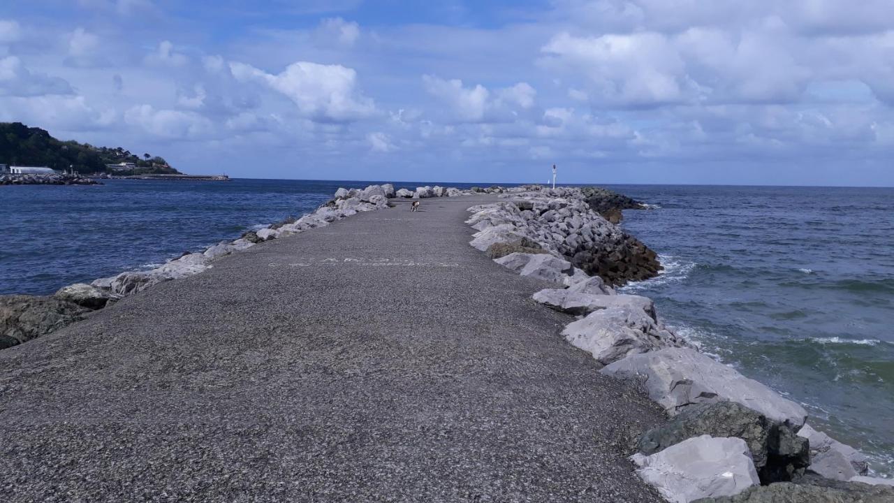 Appartement Les Hirondelles 2Km Plage-Wifi-Jardin-Parking-Draps Et Serviettes Hendaye Ngoại thất bức ảnh